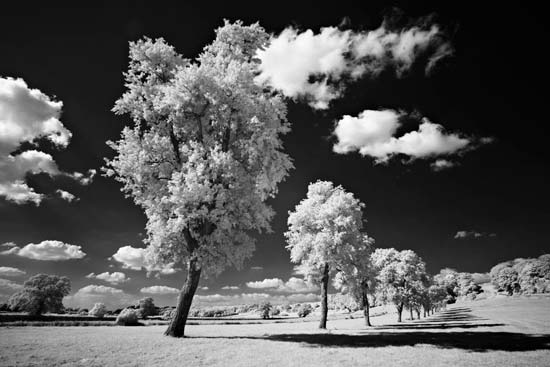 How to Take Infra Red Photos