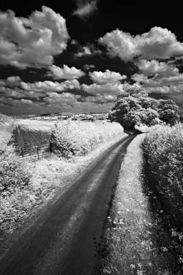 How to Take Infra Red Photos