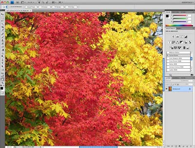 Adobe Photoshop CS4 - Main Interface