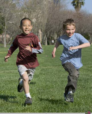 Adobe Photoshop Elements 8