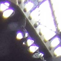 chromatic1.jpg