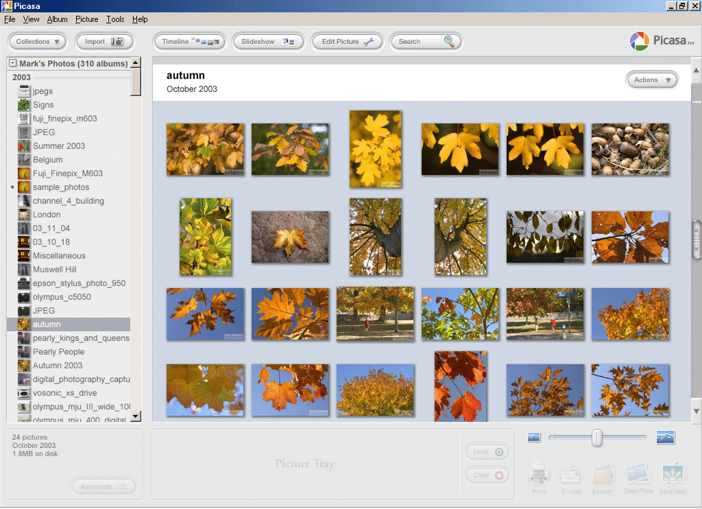 Picasa is a very nicely designed software program with a clean 