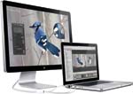 Apple LED Cinema Display