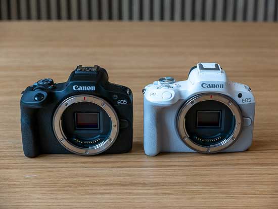 Canon EOS R100 vs Canon EOS R50 - Which is Better?