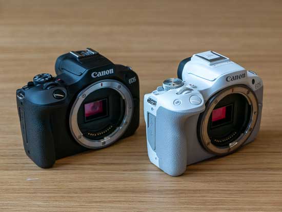 Canon EOS R100 vs Canon EOS R50 - Which is Better?