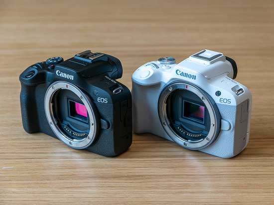 Canon EOS R50 vs EOS R10 - Head to Head Comparison