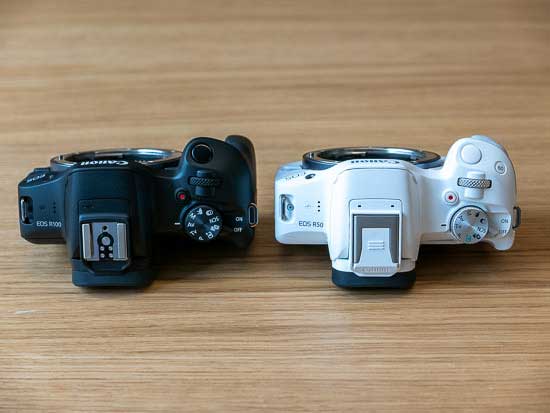 Canon R100 vs Canon R Detailed Comparison