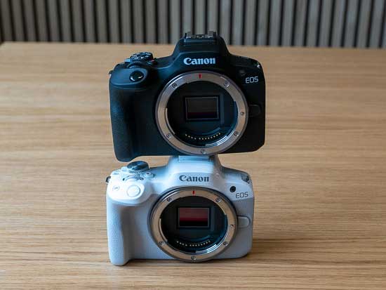 Canon EOS R50 vs EOS R10 - Head to Head Comparison