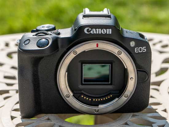 Canon EOS R50 vs M50 Mark II