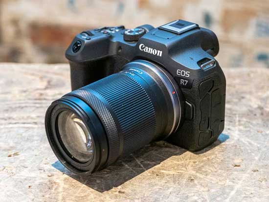 Canon EOS R8 vs EOS R7 - Head to Head Comparison