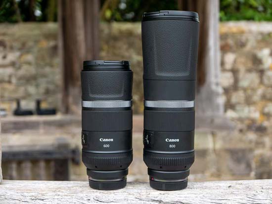 Canon RF 600mm F11 IS STM and RF 800mm F11 IS STM
