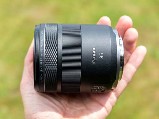 Canon RF 85mm F2 MACRO IS STM First Impressions | Photography Blog