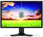 NEC MultiSync P221W