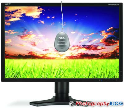 NEC MultiSync P221W