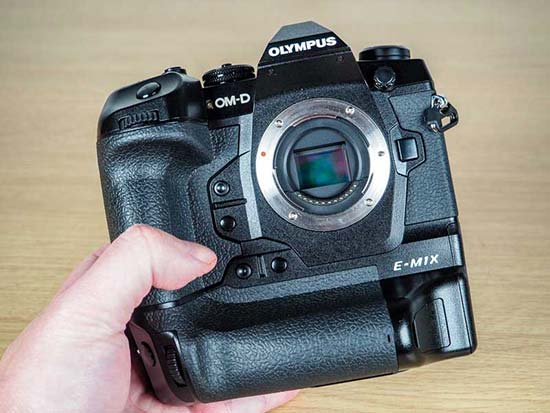 Olympus O-MD E-M1X First Impressions