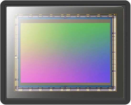 Sony A1 vs A7R IV vs A9 II vs A7S III - Head to Head Comparison