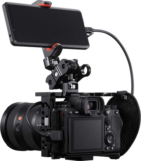 Sony A1 vs A7R IV vs A9 II vs A7S III - Head to Head Comparison