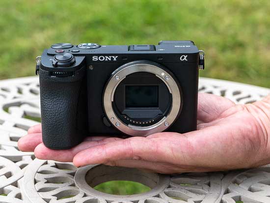 Sony A6700 vs Sony A6600 - Which is Better?