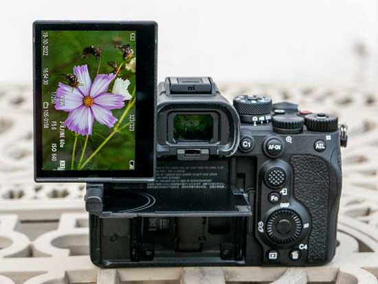 Sony A7R V First Impressions