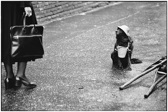 Sony World Photography Awards 2015