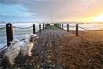 Take a View - Landscape Photographer of the Year 2008