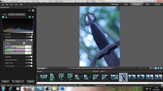 acdsee pro 10