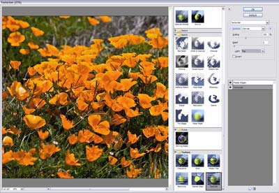 Adobe Photoshop Elements 6 - Figure 1