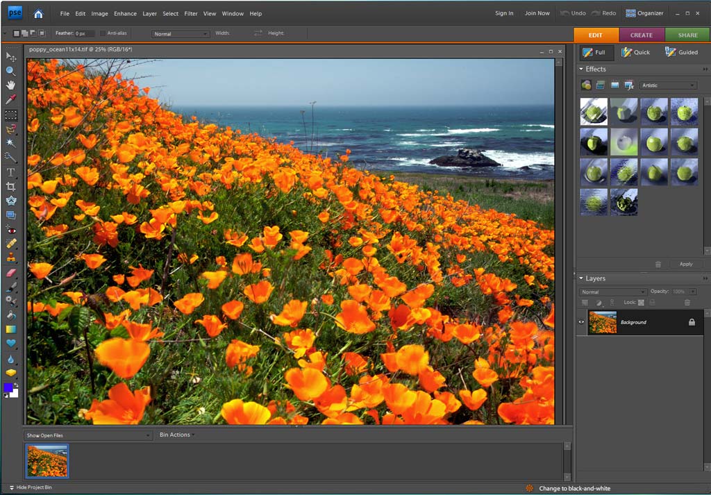 adobe photoshop elements 7.0 free download full version