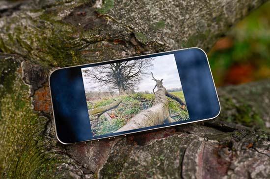 iPhone 12 Pro Max Camera Review + Download Sample Photos — JULIA