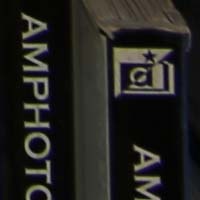 f4.jpg