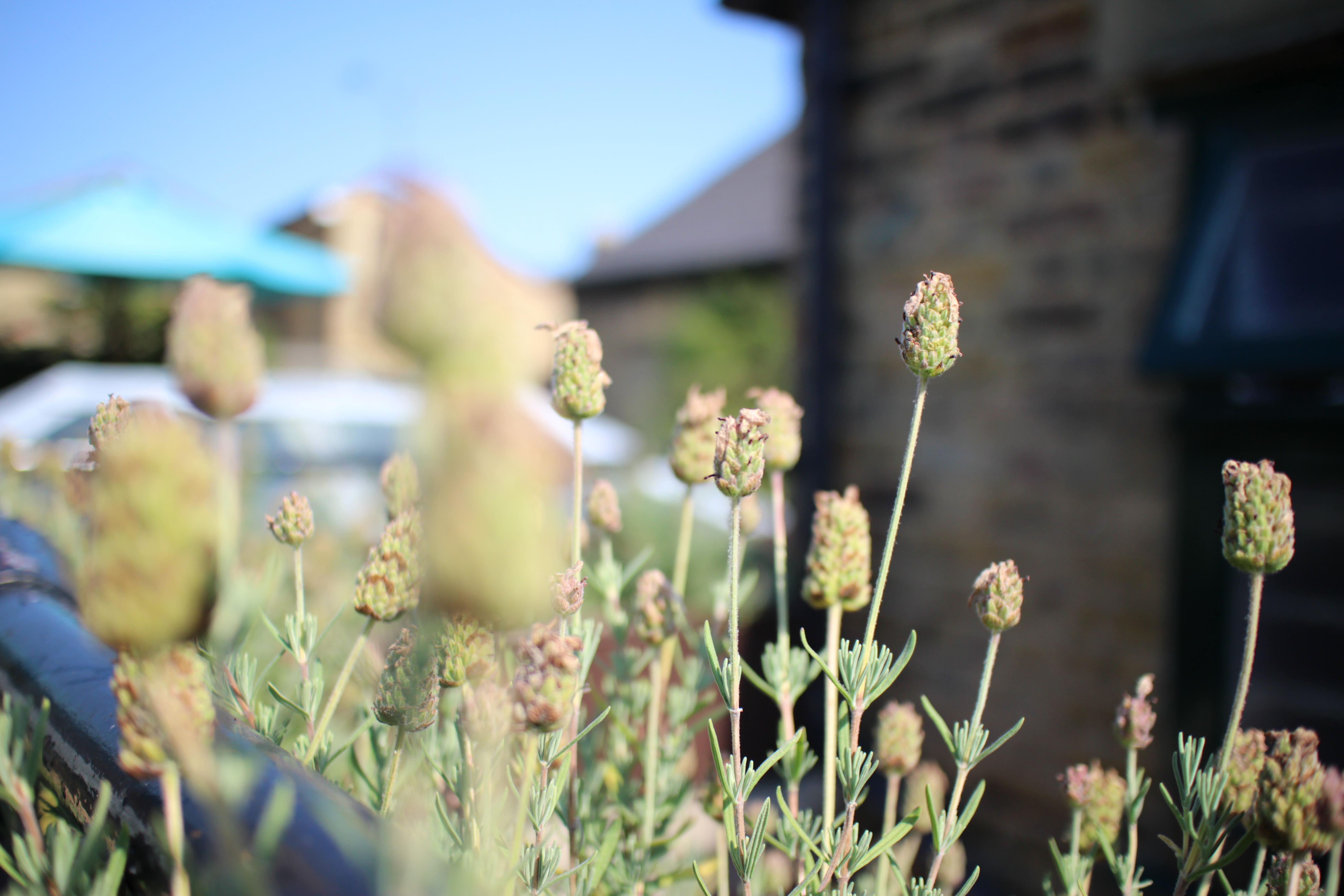 Canon EF-M 22mm f/2 STM Review - Sample Images | Photography Blog