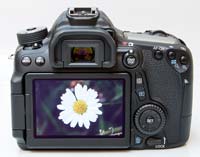Canon EOS 70D Review | Photography Blog