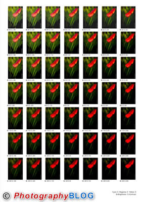 Calibration Chart