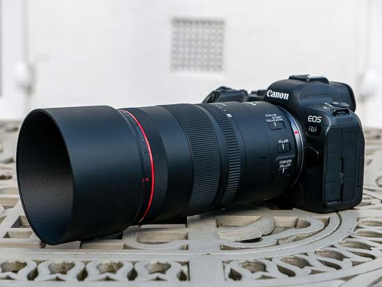 Canon RF 100mm F2.8L Macro IS USM