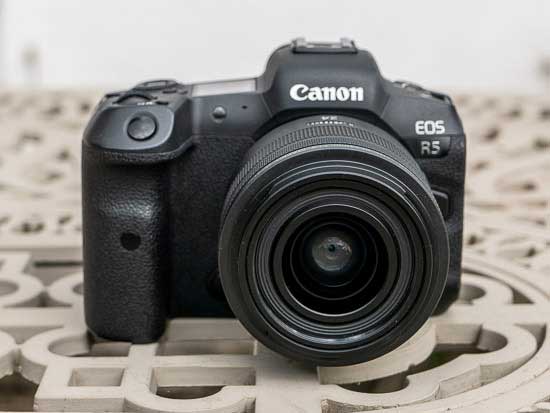 Canon RF 24mm F1.8 MACRO IS STM Review | Photography Blog