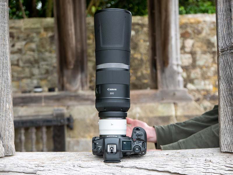 Canon RF 800mm F11 IS STM Review | Photography Blog