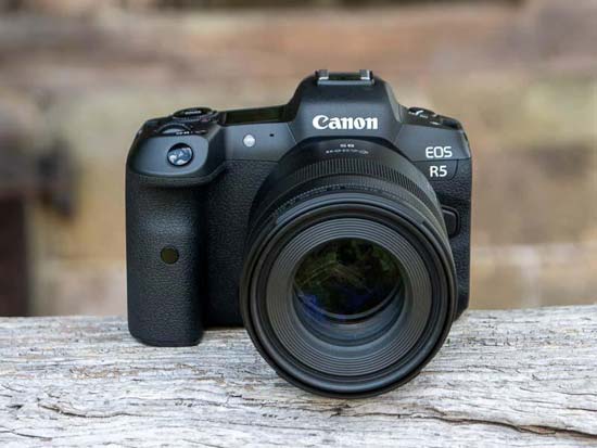 Canon RF 85mm F2 Macro IS STM Review | Photography Blog