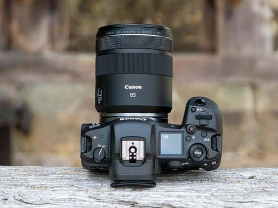 Canon RF 85mm F2 Macro IS STM Review | Photography Blog