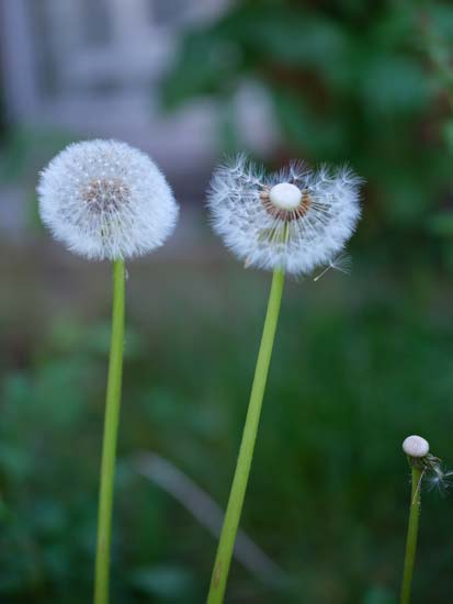 Fujifilm GF 100-200mm F5.6 R LM OIS WR