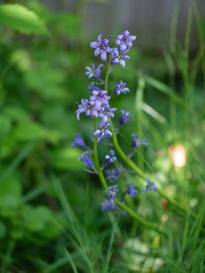 Fujifilm GF 100-200mm F5.6 R LM OIS WR