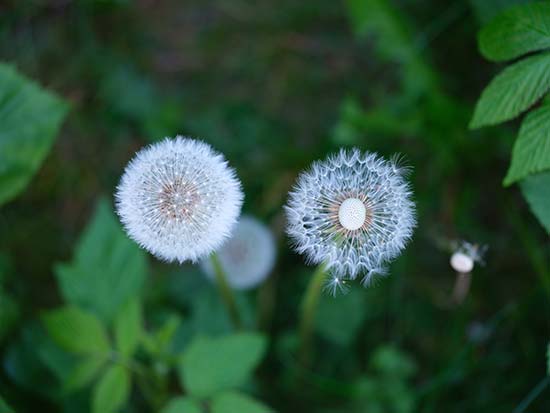 Fujifilm GF 100-200mm F5.6 R LM OIS WR