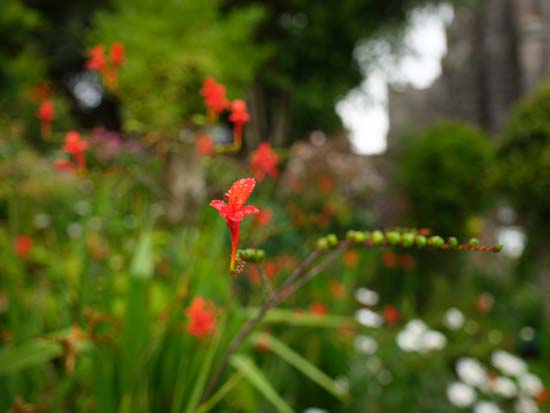 Fujifilm GF 30mm F3.5 R WR