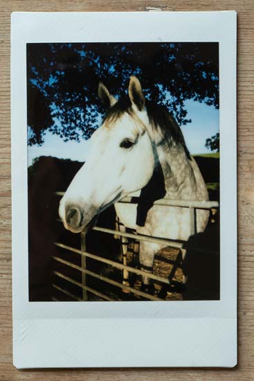 Fujifilm Instax Mini 11 review