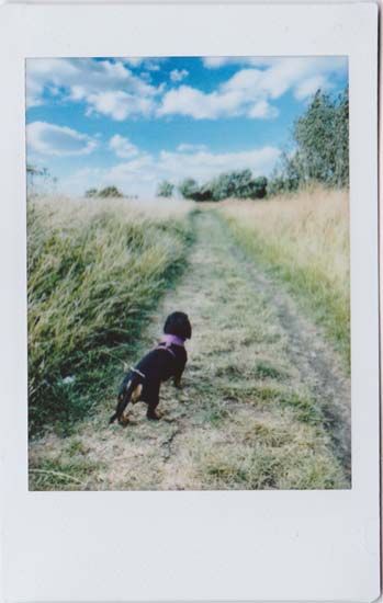 Fujifilm Instax Mini Link Review