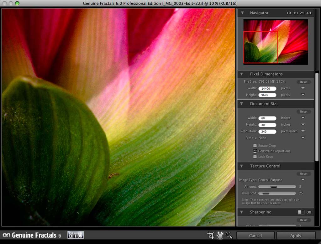 compare photozoom 6 standard to photozoom 6 pro and 6