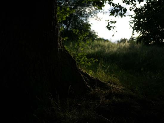 Hasselblad XCD 45mm F4 P