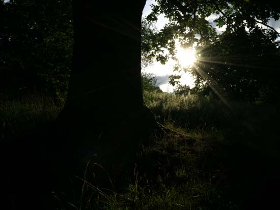Hasselblad XCD 45mm F4 P