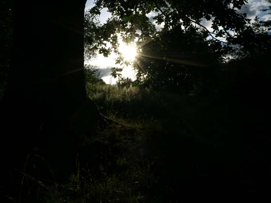Hasselblad XCD 45mm F4 P