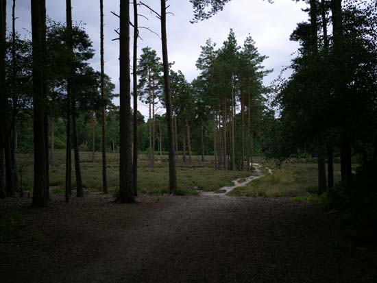 Hasselblad XCD 45mm F4 P