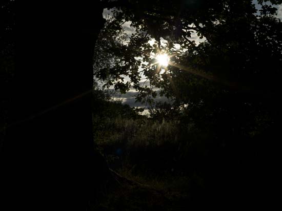 Hasselblad XCD 65mm F2.8
